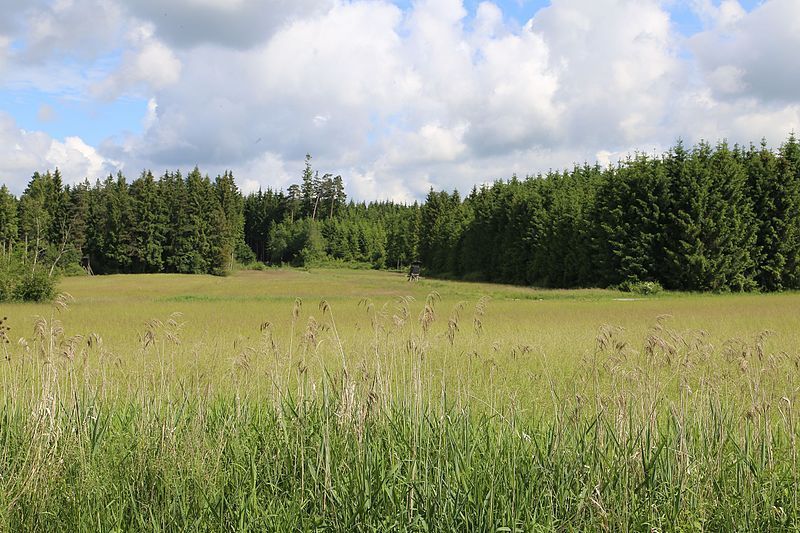 Kolbermoor: Naturschutzgebiet Kalten
